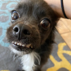 Meet your Posher, Arielle